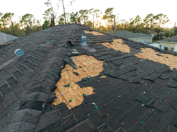 Best Roof Ventilation Installation  in Beltsville, MD