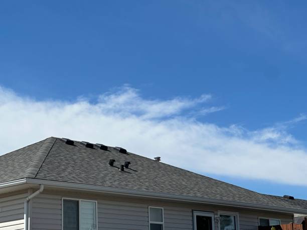 Best Storm Damage Roof Repair  in Beltsville, MD